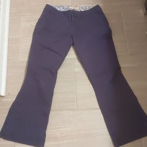 Arizona Jeans navy blue pants